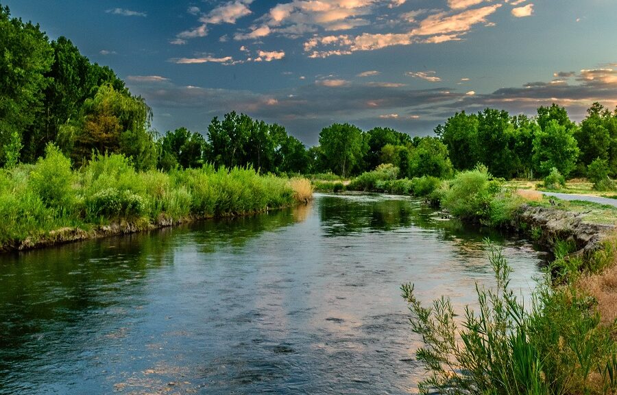 Sustainability : Using Bubbles To Fight Plastic Pollution